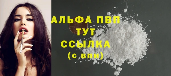 винт Абаза