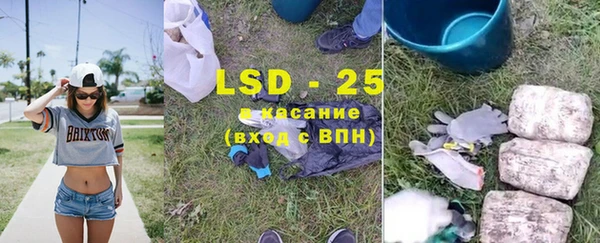 винт Абаза