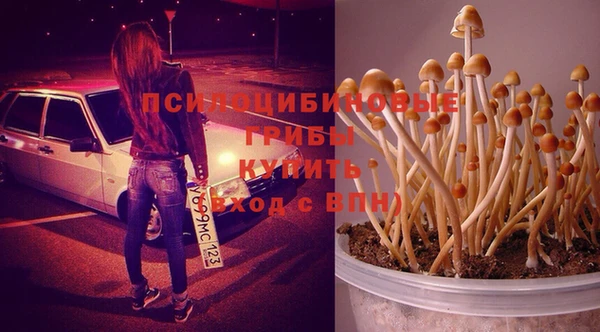 ПСИЛОЦИБИНОВЫЕ ГРИБЫ Абдулино