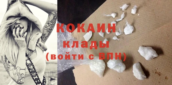 винт Абаза