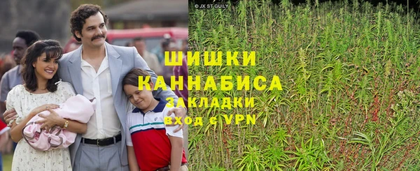 ПСИЛОЦИБИНОВЫЕ ГРИБЫ Абдулино