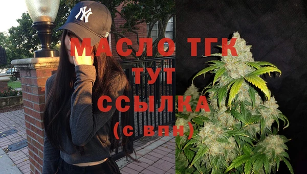 винт Абаза