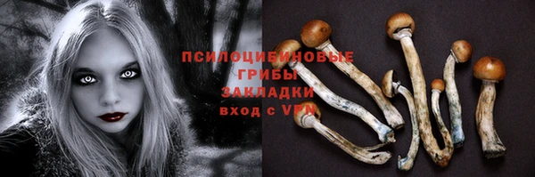 ПСИЛОЦИБИНОВЫЕ ГРИБЫ Абдулино
